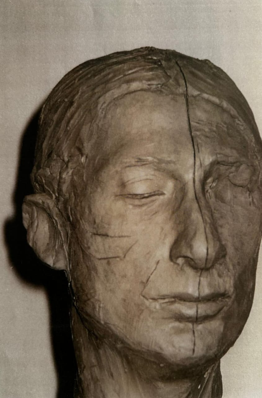 Anatomical Study